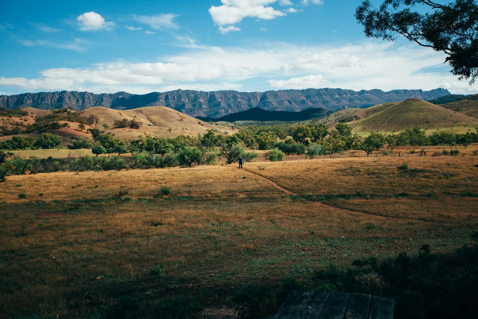 Grazing country in rural Queensland