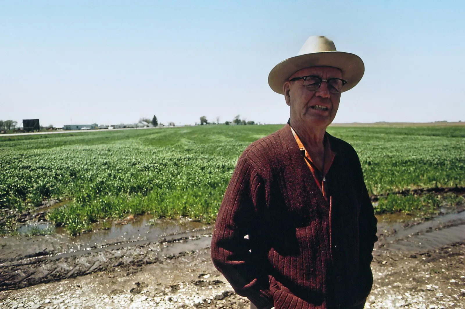 Older rural Australian in a paddock