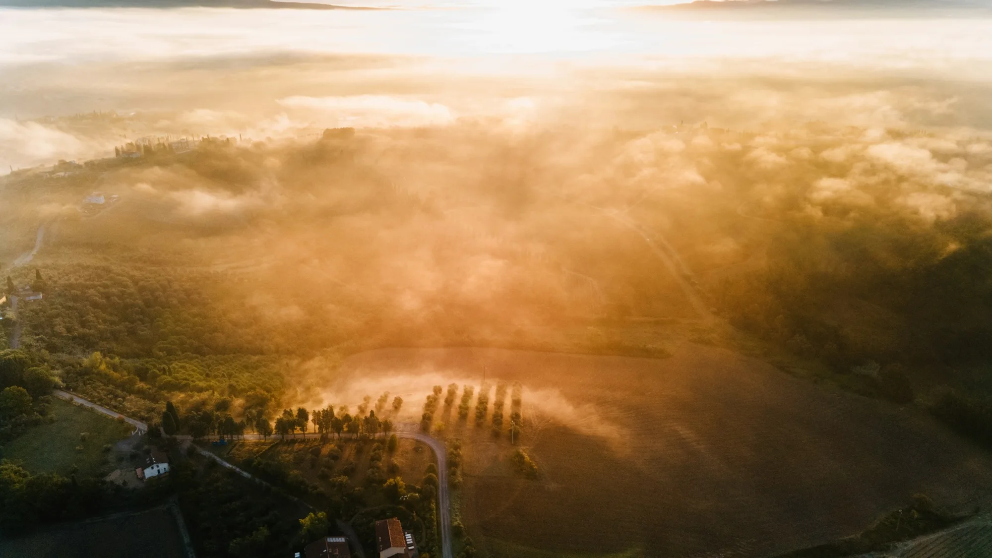 Golden sunrise over misty rural country